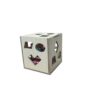 Wooden Shape Sorting Cube for kids
